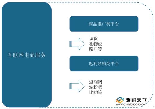 2021年中國(guó)互聯(lián)網(wǎng)電商服務(wù)市場(chǎng)調(diào)研報(bào)告 行業(yè)運(yùn)營(yíng)現(xiàn)狀與發(fā)展前景研究