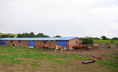 禁牧區(qū)牧民贊國(guó)策，生態(tài)與生計(jì)雙贏的新篇章