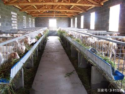 農(nóng)村俗語(yǔ)“家有萬(wàn)貫，帶毛的不算”的含義與道理解析