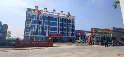 紅星調(diào)查 三家公司中標(biāo)廣西平南學(xué)校食堂食品配送項(xiàng)目后,統(tǒng)一配送的大米被緊急召回