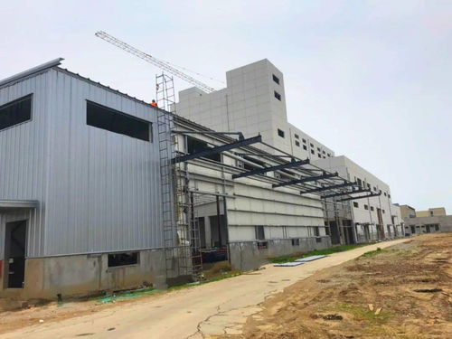 伯納天純 開拓國產寵物食品新藍海